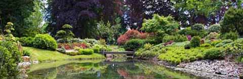 Japanese style stroll garden